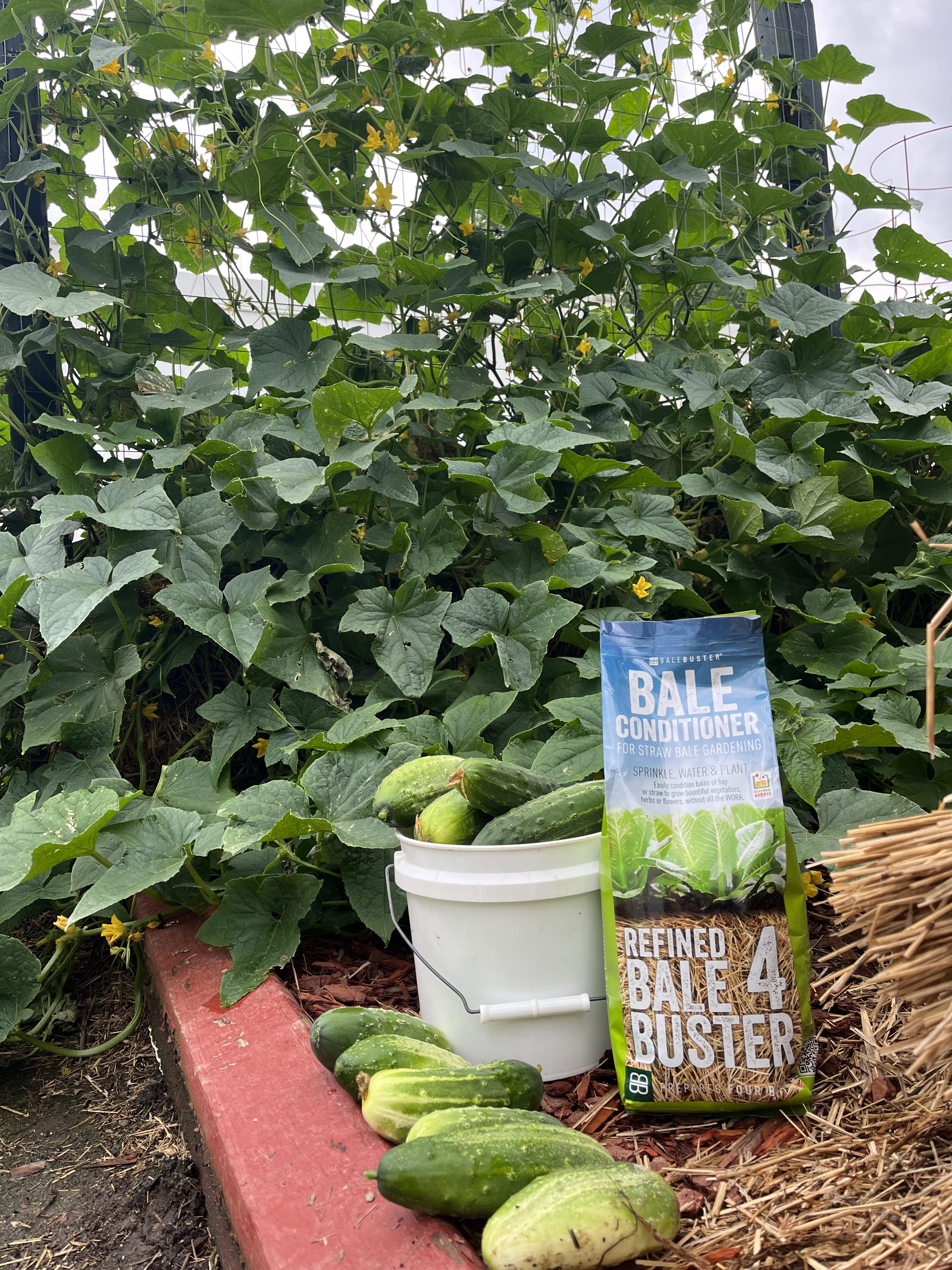 10 Units - BaleBuster4 - Retail Display packaging - Refined four bale formula