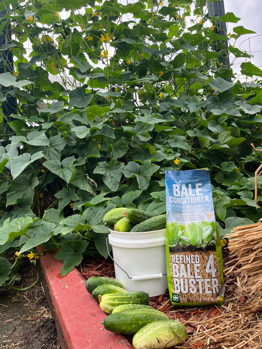 10 Units - BaleBuster4 - Retail Display packaging - Refined four bale formula