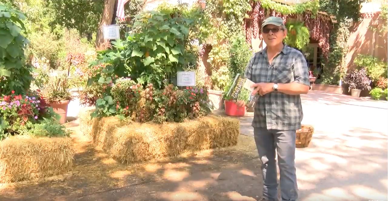 12 Units - BaleBuster1 - Retail Display packaging - Organic one bale formula