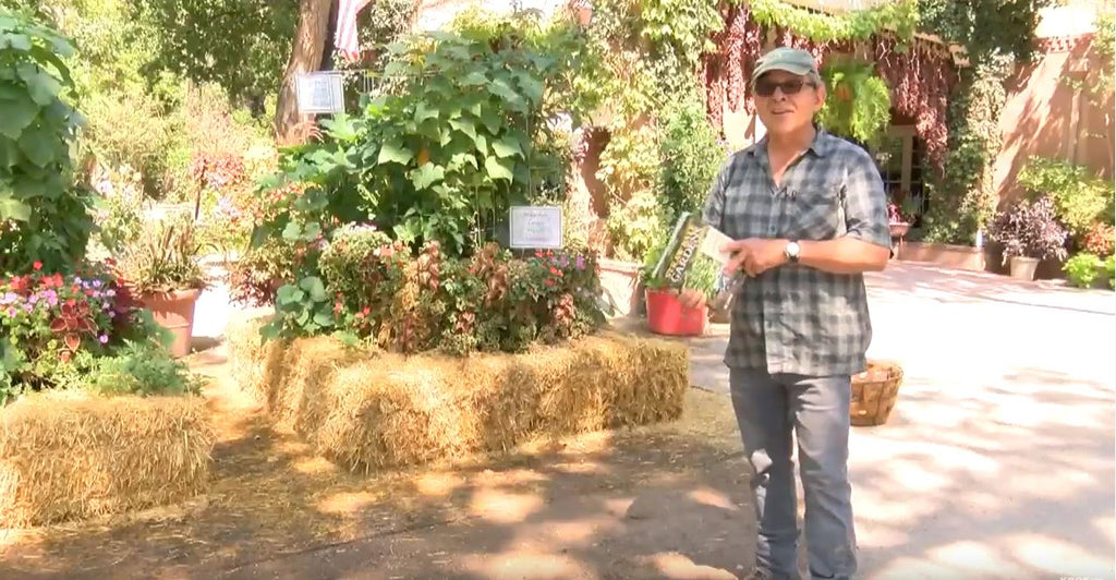 12 Units - BaleBuster1 - Retail Display packaging - Organic one bale formula