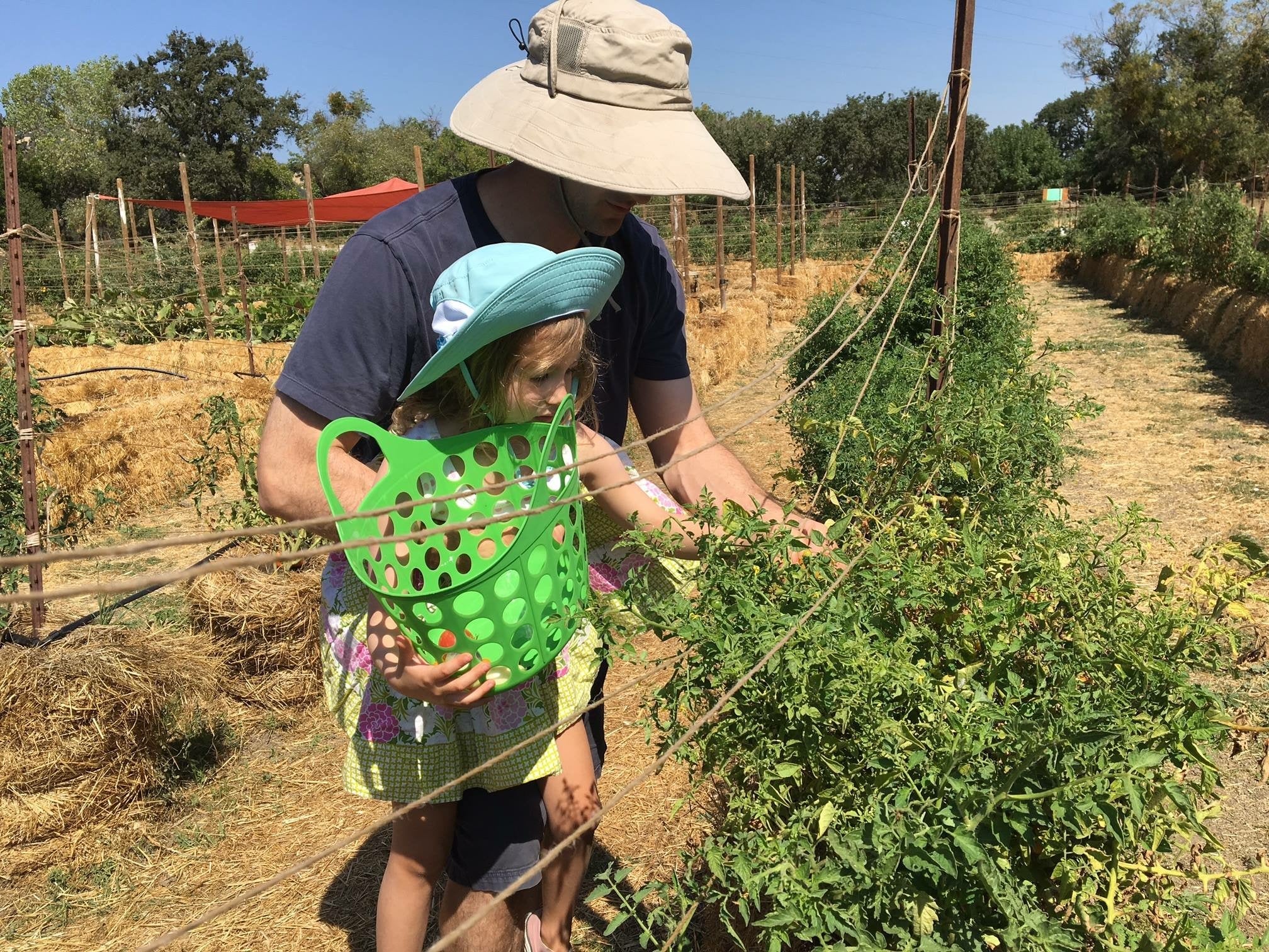 10 Units - BaleBuster4 - Retail Display packaging - Refined four bale formula