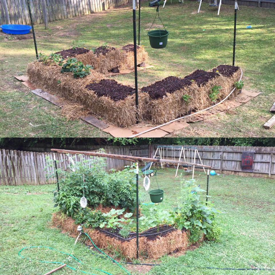 12 Units - BaleBuster1 - Retail Display packaging - Organic one bale formula