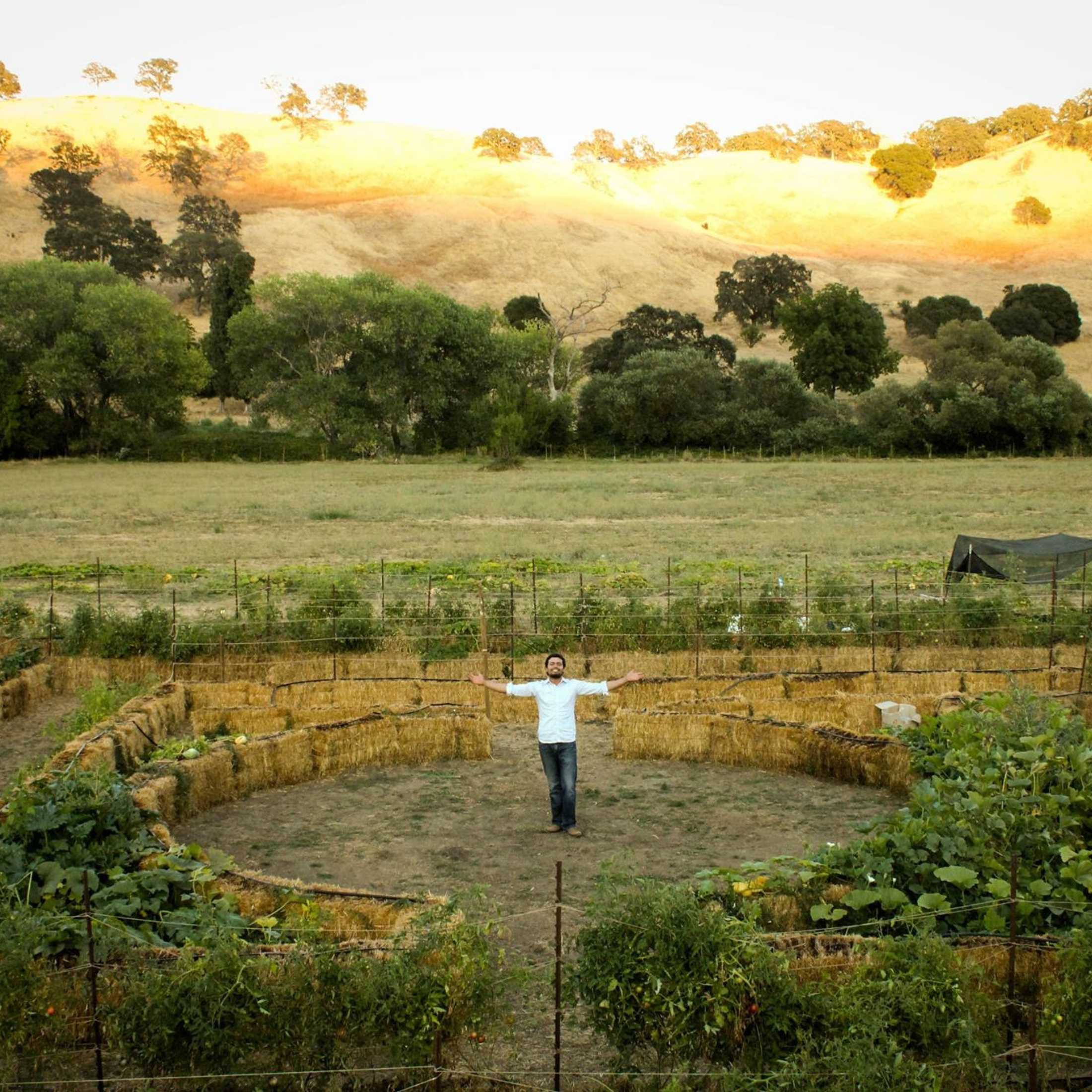 BaleBuster4 Starter Kit (with Straw Bale Gardens Complete book)