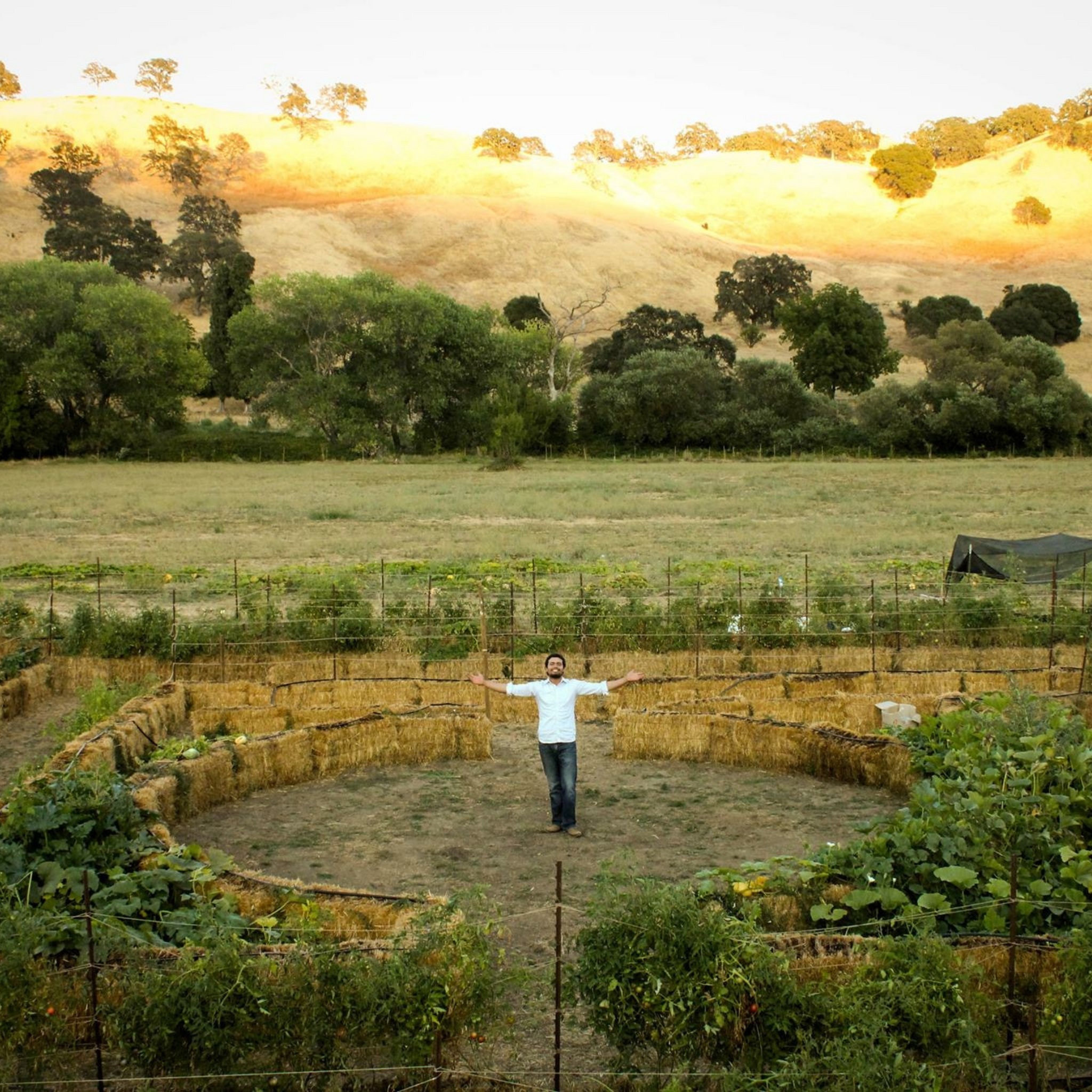 BaleBuster4 Starter Kit (with Straw Bale Gardens Complete book)