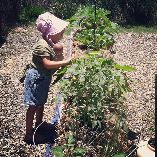 12 Units - BaleBuster1 - Retail Display packaging - Organic one bale formula